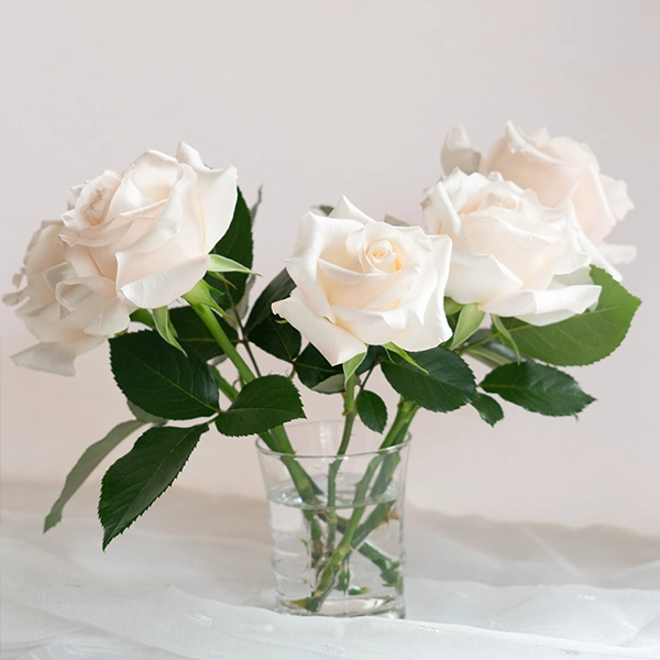 品種名ヴァレリア