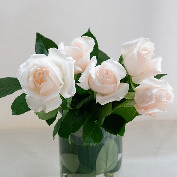 品種名ヴァレリア