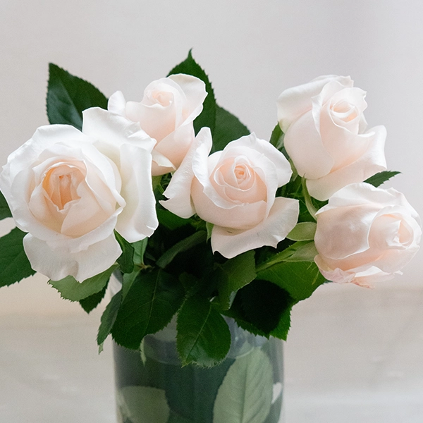 品種名ヴァレリア